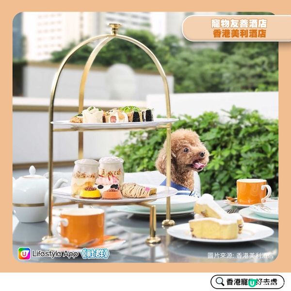 【寵物好去處：酒店篇】 