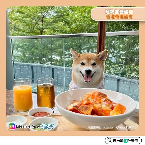 【寵物好去處：酒店篇】 