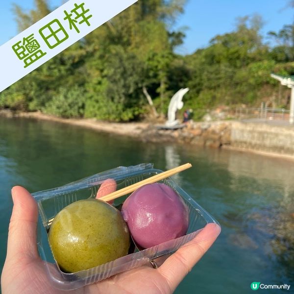 Mschichi_ 鹽田梓七彩茶果