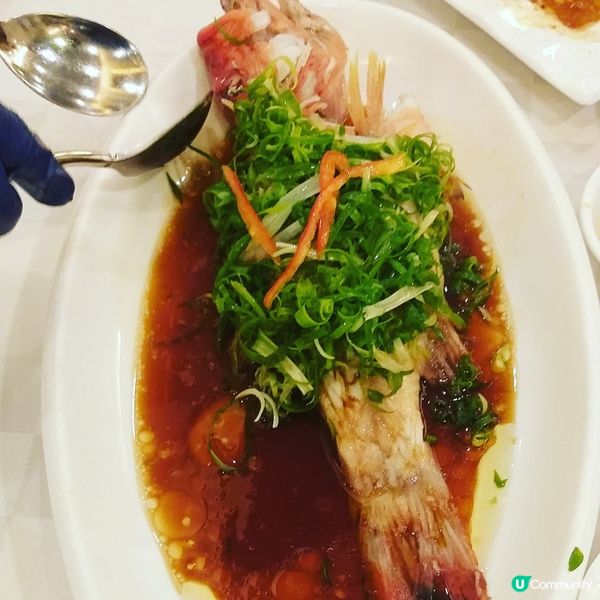 不用多說，我真係非常喜愛吃魚!