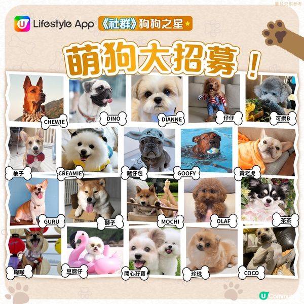 【成為狗狗KOL 🐕】機會嚟啦！ 
