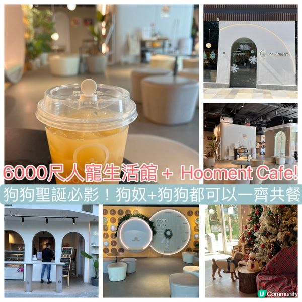 ✅今日去咗位於元朗面積達6千呎的人寵生活館Hooment！！...
