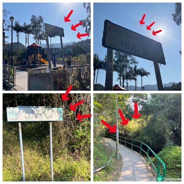 大埔嘅烏蛟騰絕對係我呢啲懶人睇紅葉🍁最佳選擇