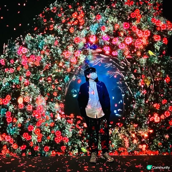 北角K11💙ARTE M 沉浸式展覽