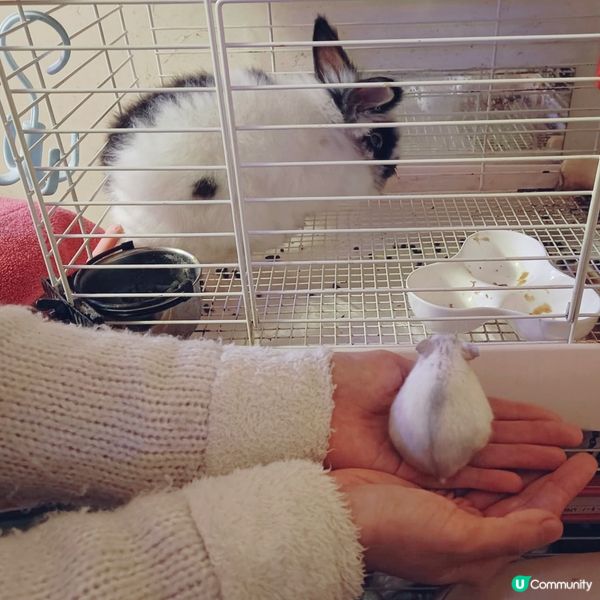 奀奀乖孫見過叮噹爺爺❤️