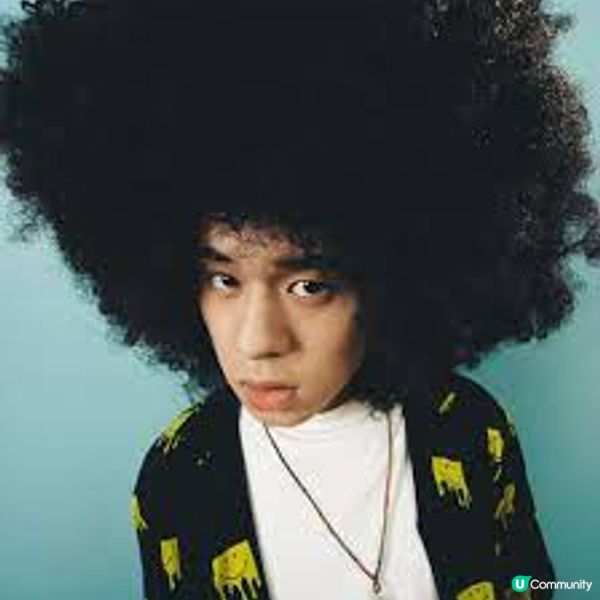 20大娛樂圈藝人標誌性髮型