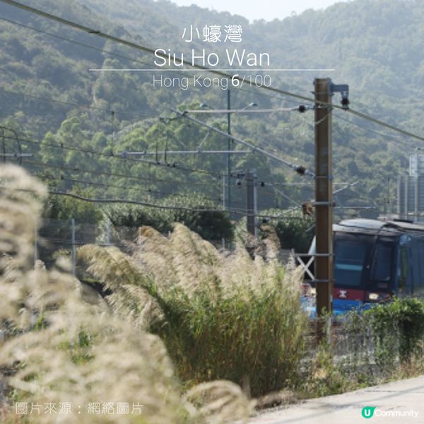 6/100 | 香港必去的100個打卡景點--小蠔灣