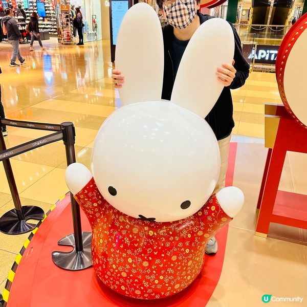 Miffy🐰鬱金香花海❤️太古城中心