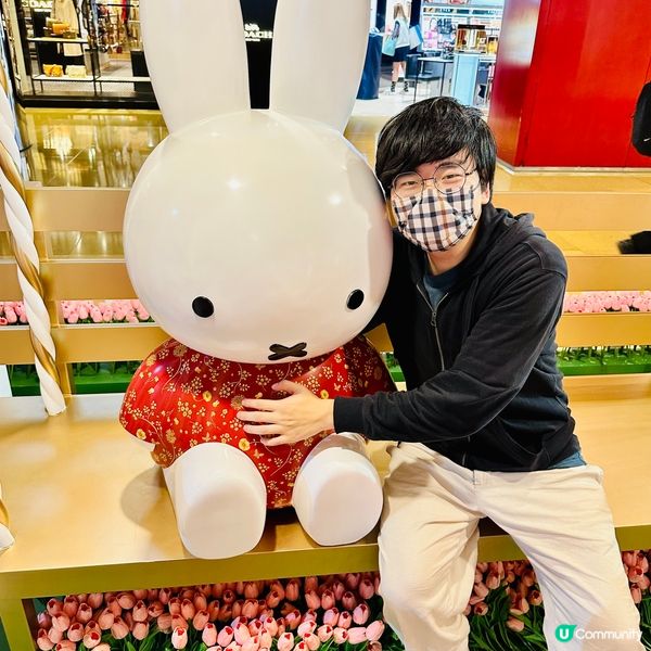 Miffy🐰鬱金香花海❤️太古城中心