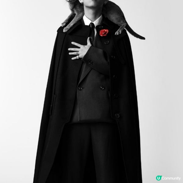 【喵界KOLの育成】如何成為明星貓🐈？ 