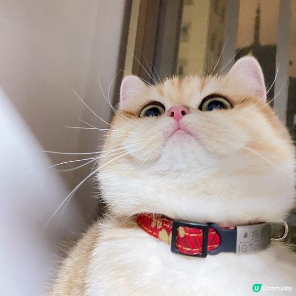 我唔係肥！！