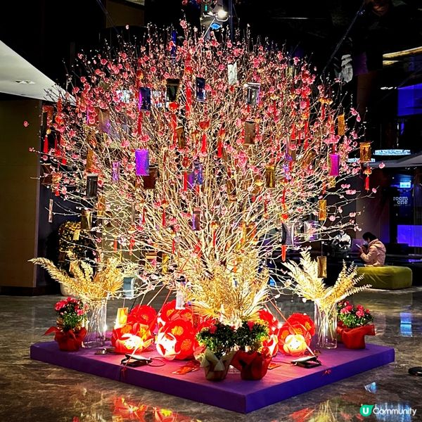 國金軒的巴馬金腿蘿蔔糕永遠也是我的*飛佛*😋，中西合璧以甘香...