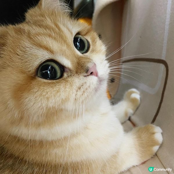 Good morning!