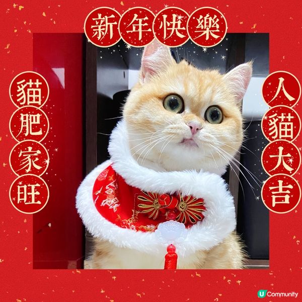 祝大家新年快樂