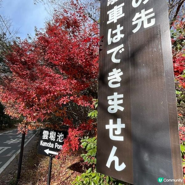 輕井澤🍁🍁