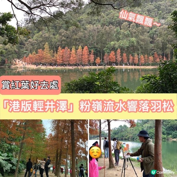 簡易賞紅葉🍁路線第二回，今次去到有「天空之鏡」和「港版輕井澤...
