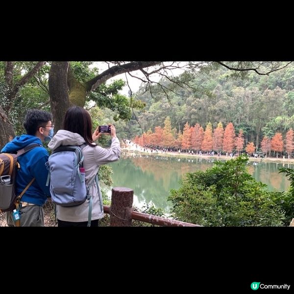 簡易賞紅葉🍁路線第二回，今次去到有「天空之鏡」和「港版輕井澤...