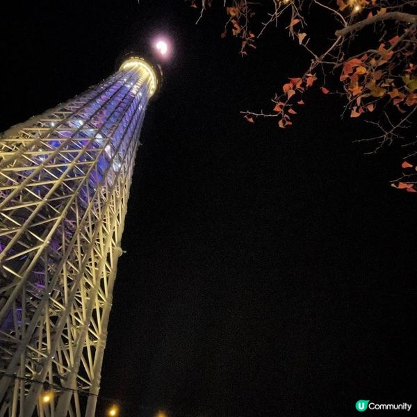 Sky Tree 晴空塔既夜景好靚