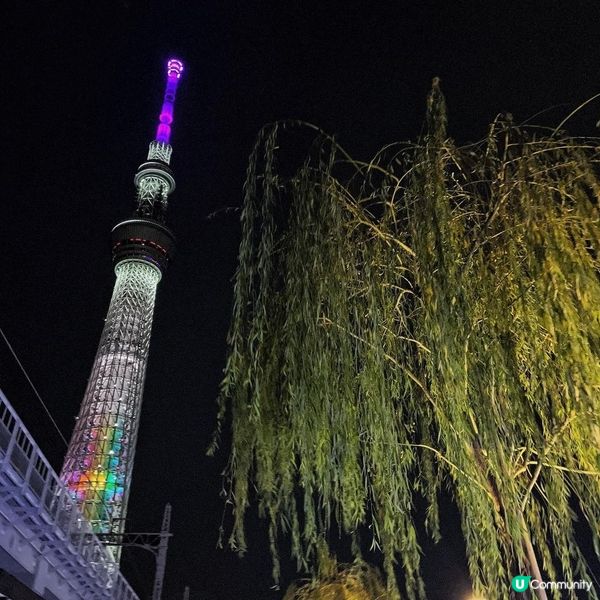 Sky Tree 晴空塔既夜景好靚