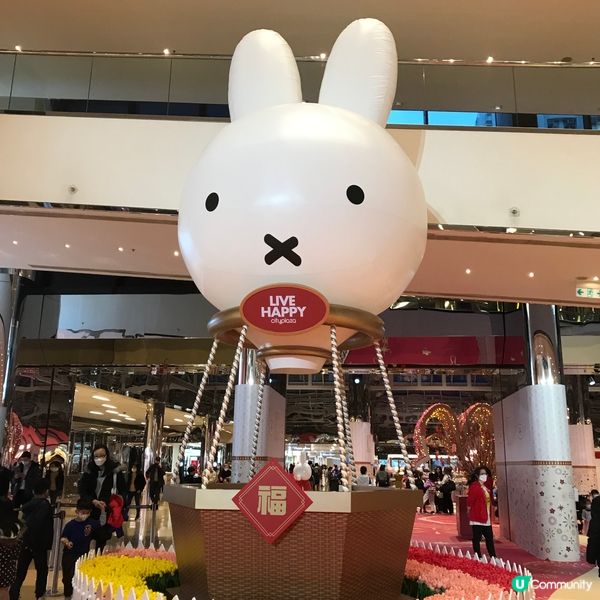 Miffy@ 太古城中心