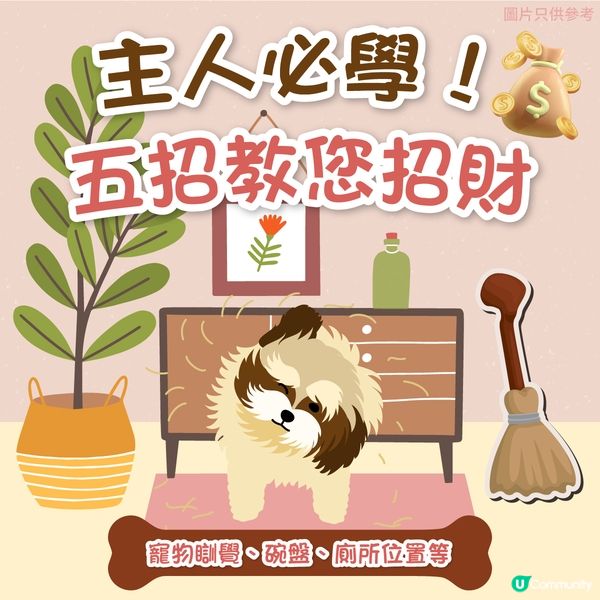 【寵物主人必學🐕】五招教您招財💰！ 
