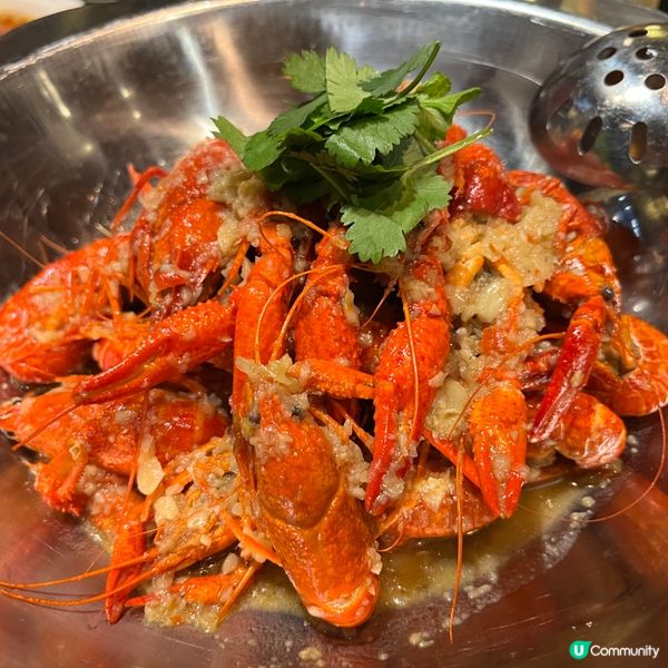 旺角必食人氣四川菜「麻辣風雲」！