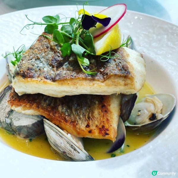 【Chill爆之選😋】望着風景嘆午餐 強推香煎鱸魚🐠!