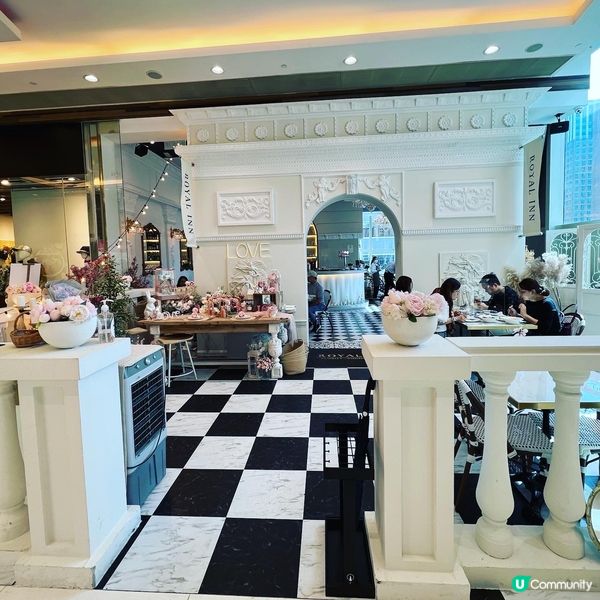 【Chill爆之選😋】望着風景嘆午餐 強推香煎鱸魚🐠!