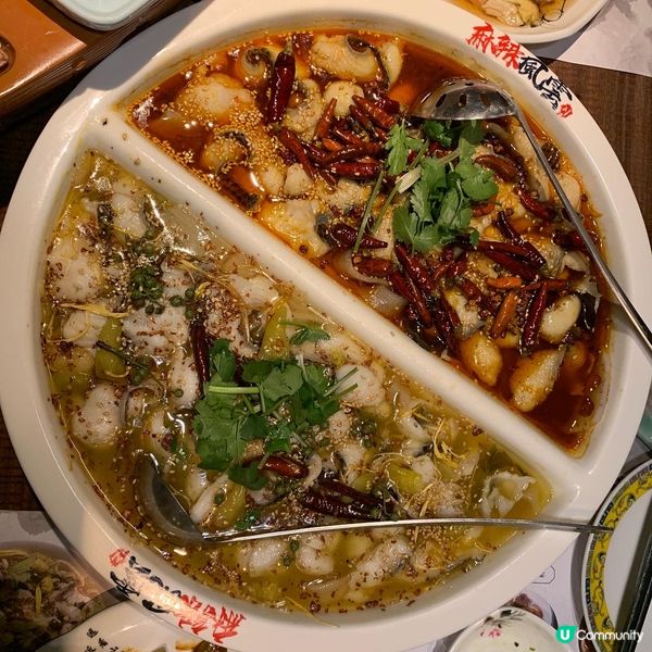 麻辣風雲｜宮廷風川菜-太極鴛鴦魚｜超浮誇炸饅頭船氣勢出航