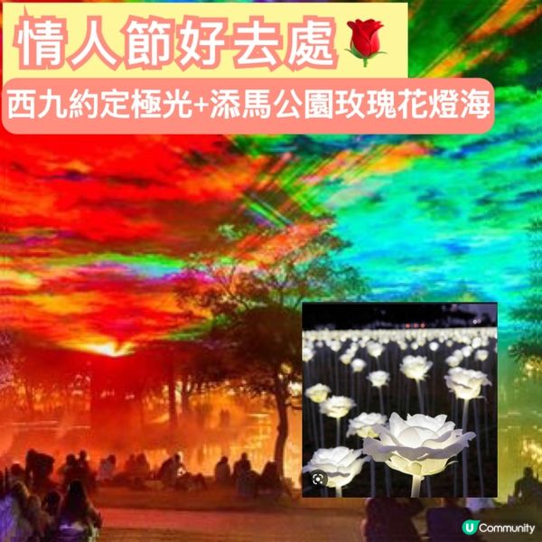 情人節好去處｜添馬公園玫瑰花燈海2023｜西九藝術公園大草坪...