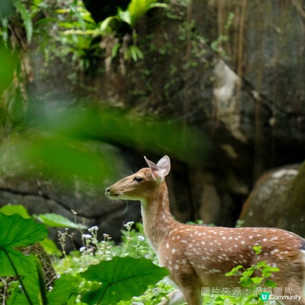 02│台北好去處--台北市立動物園