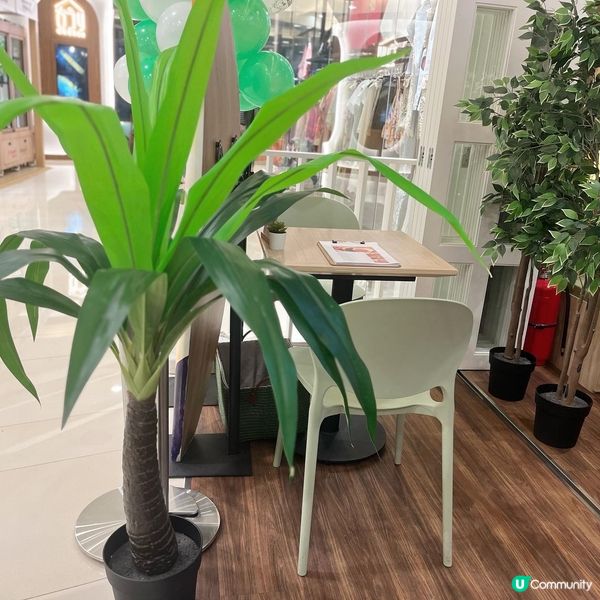 與愛寵共享 •~୨♡୧~•當季限定梳乎厘班戟