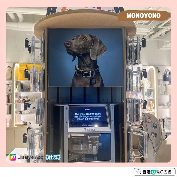 荃灣好去處✨ | 寵主必去寵物生活精品店🐶🐱！ 