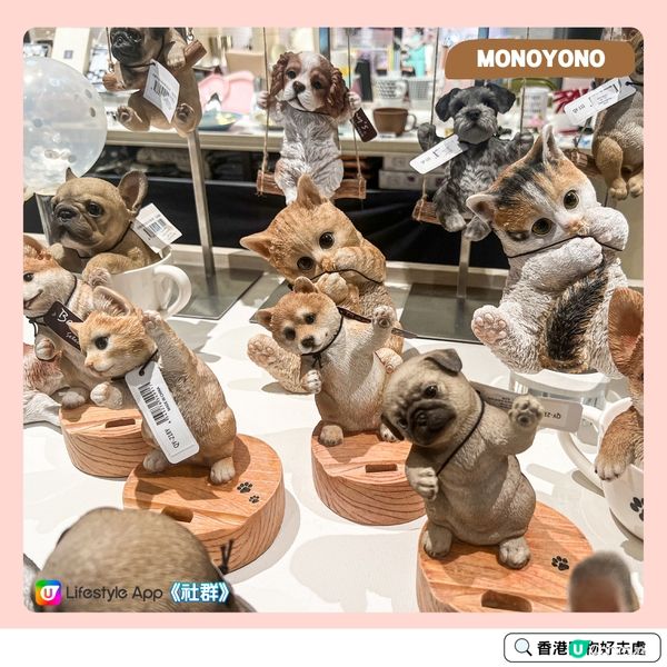 荃灣好去處✨ | 寵主必去寵物生活精品店🐶🐱！ 