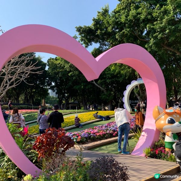 春暖花開，繼楓葉、櫻花盛開後，今次輪到繡球花了。大埔海濱公園...