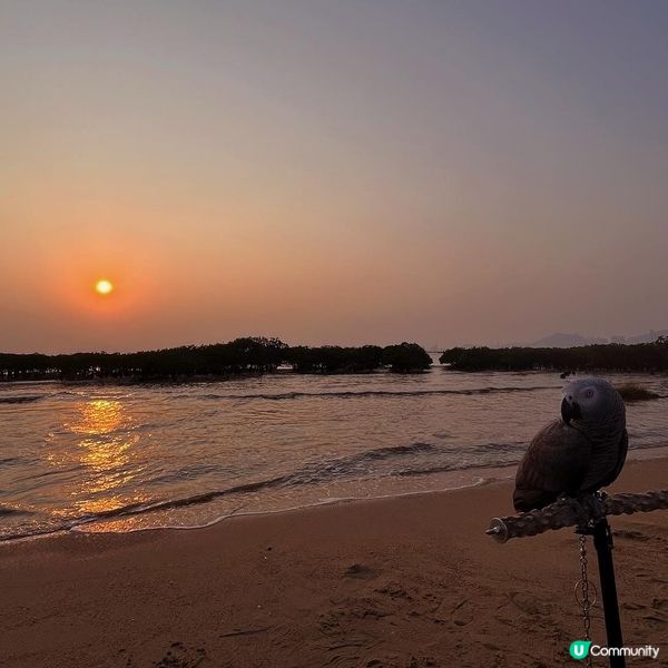 不能錯過日落景點! 下白泥半日遊 