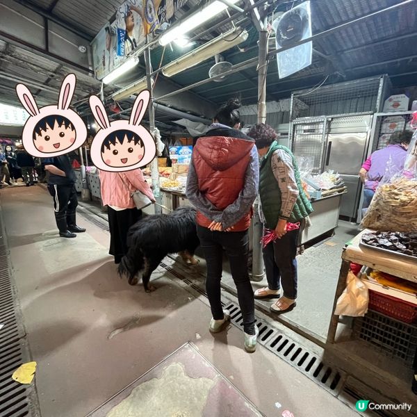 不能錯過日落景點! 下白泥半日遊 