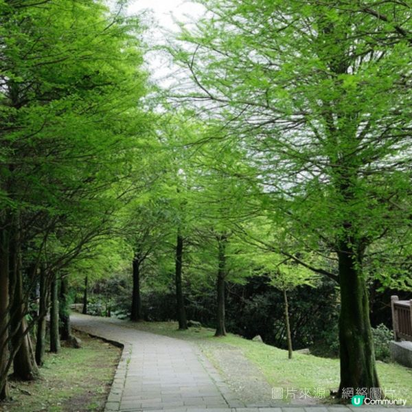 05│台北好去處--冷水坑步道