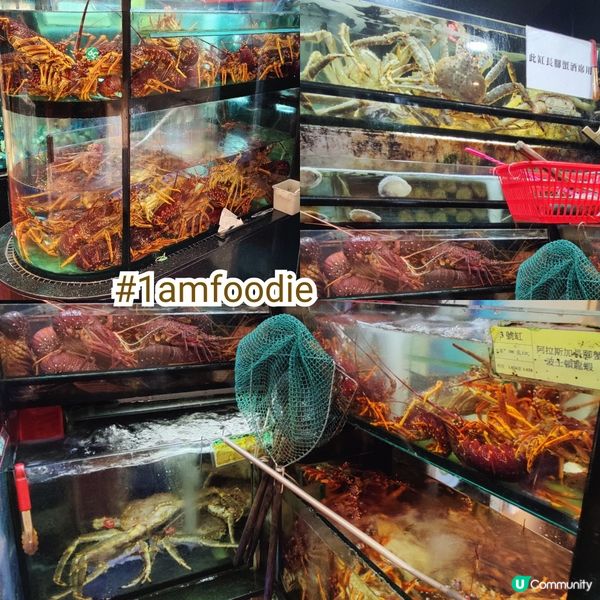 【北區】【海港】