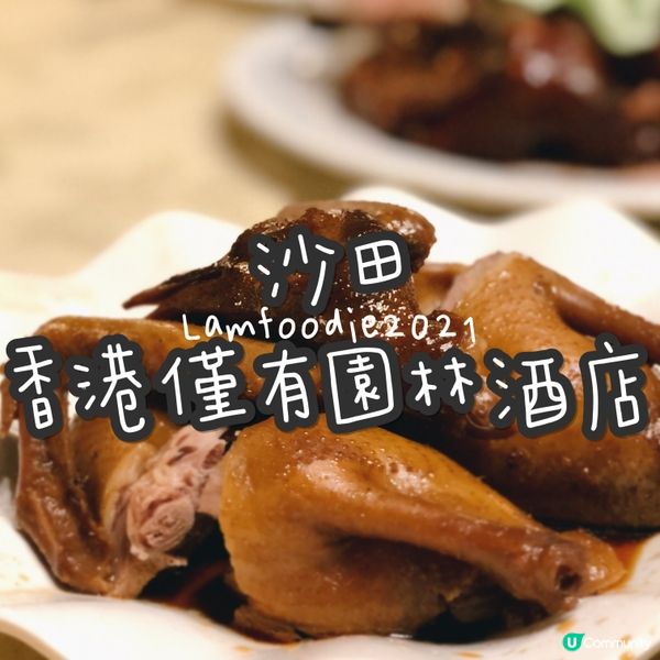 🍽️龍華酒店 (下禾輋村) Lung Wah Hotel (...