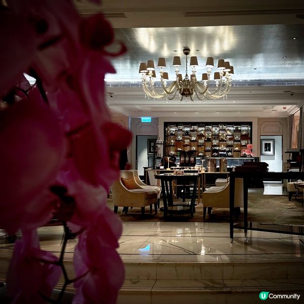 Stay Fabulous in Palm Court！下