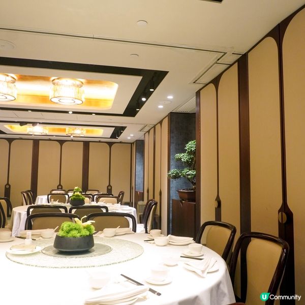 【期間限定的黯然銷魂飯】