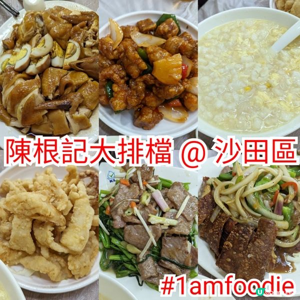 【沙田區】【陳根記大排檔】