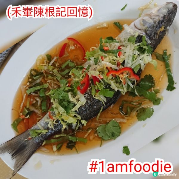 【沙田區】【陳根記大排檔】