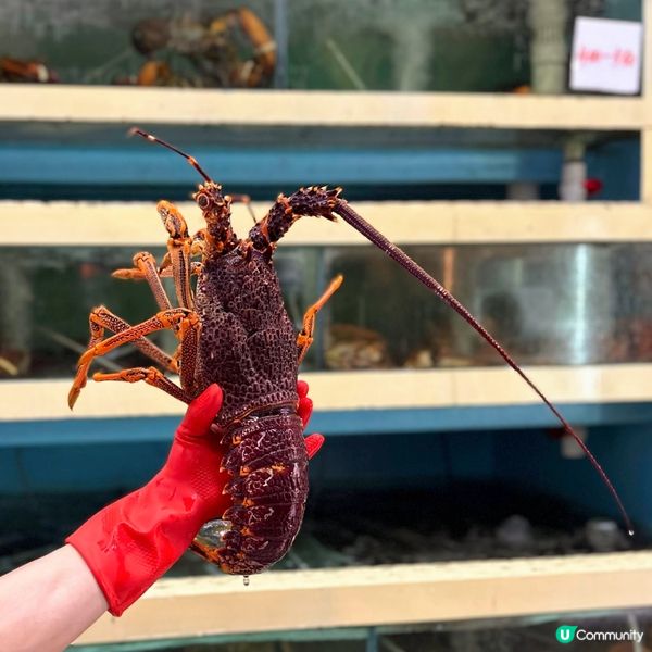 唔通我去咗築地？