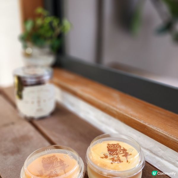 味美的貓頭鷹布丁～ 小確幸🦉