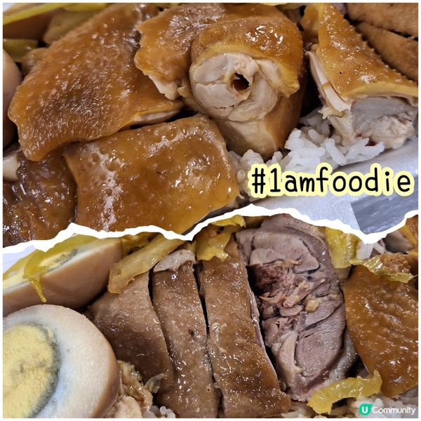 【油尖旺區】【金鴻滷鵞飯】