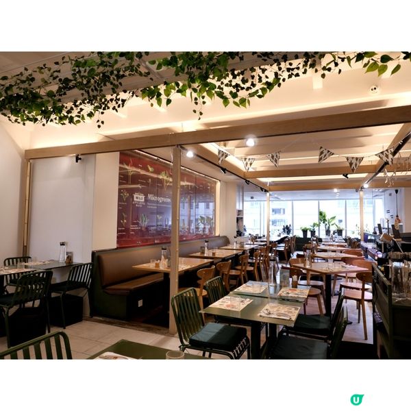 油封鴨脾煎日本蛋窩夫