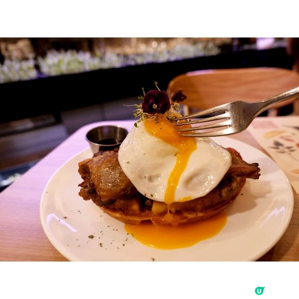 油封鴨脾煎日本蛋窩夫