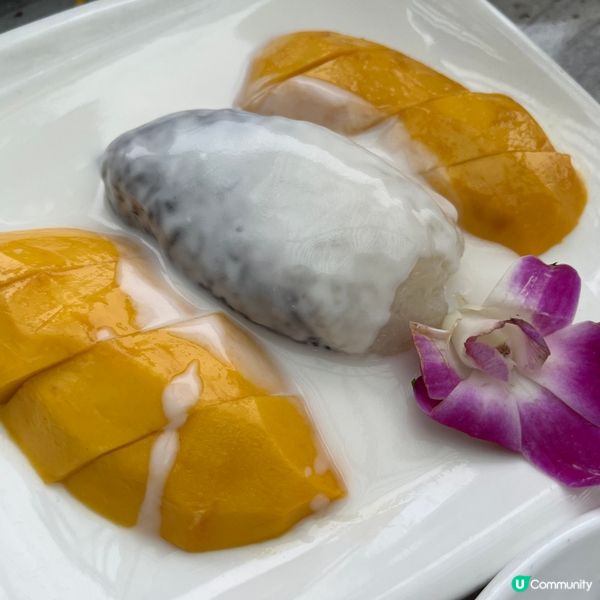 科學園狗狗友善餐廳推介‼️Tom Bar & Grill